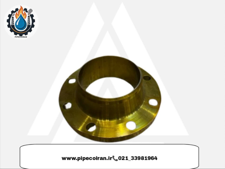 فلنج گلودار PN16برندFD