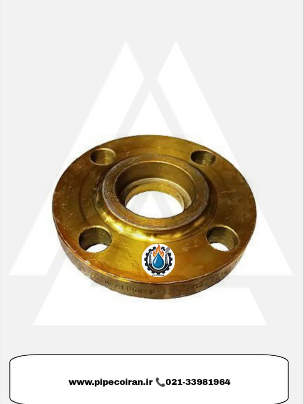 تصویر فلنج ساکت ولدکلاس 300 رده 80 از جنس فولاد کربنی A105 برند MELESI