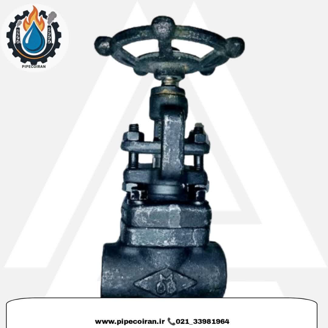 شیر سوزنی OMB کلاس 800(A105)رزوه ای و ساکت ولد برای کاربرد های فشار قوی