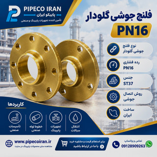 فلنج جوشی گلودار PN16